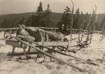 Jeseníky, 1935, zdroj: MuMB