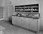 Haasova vila (Lipová 248/43), zdroj: Muzeum města Brna